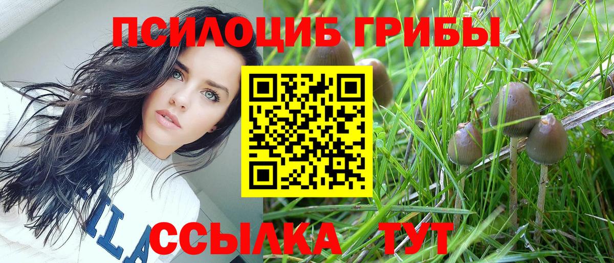 Лысьва  Псилоцибиновые грибы прущие грибы  Вход с VPN 